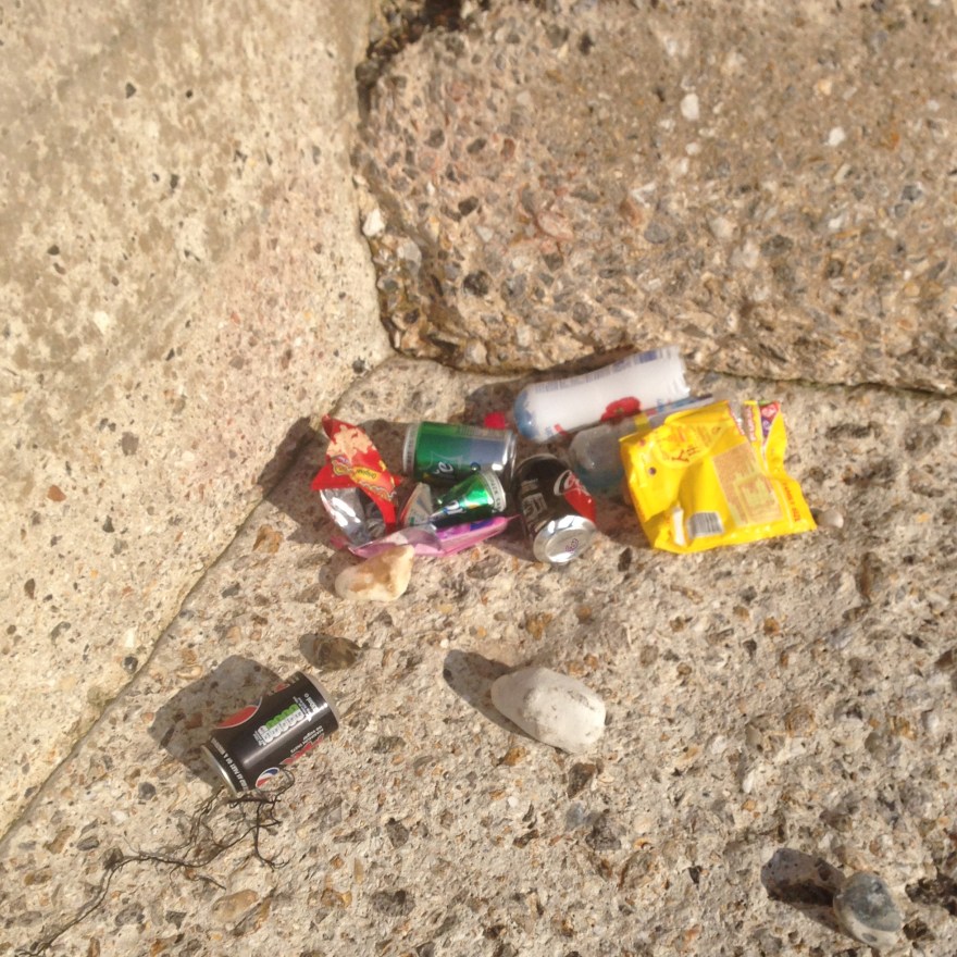 Rubbish at Selsey 8 5 18