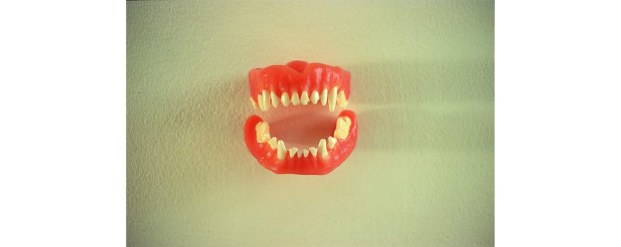 Everyday-and-Extraordinary-es-1