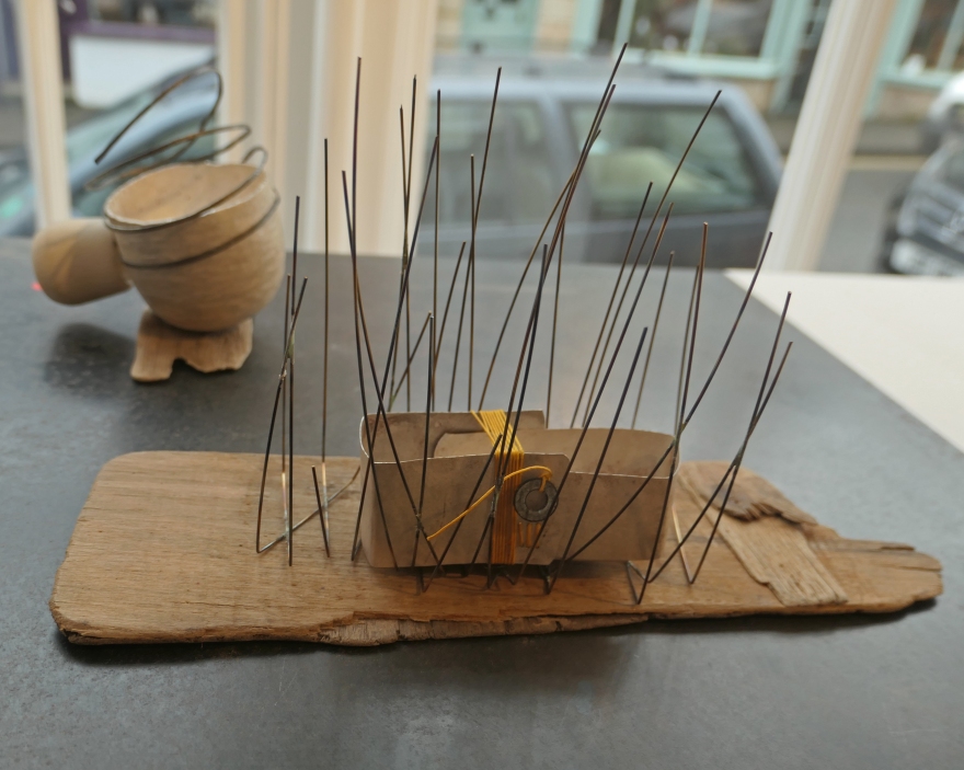 SC - Bound and left vessel 2 - silver, stainless stell wire, linen thread, driftwood, rose thorn and washer